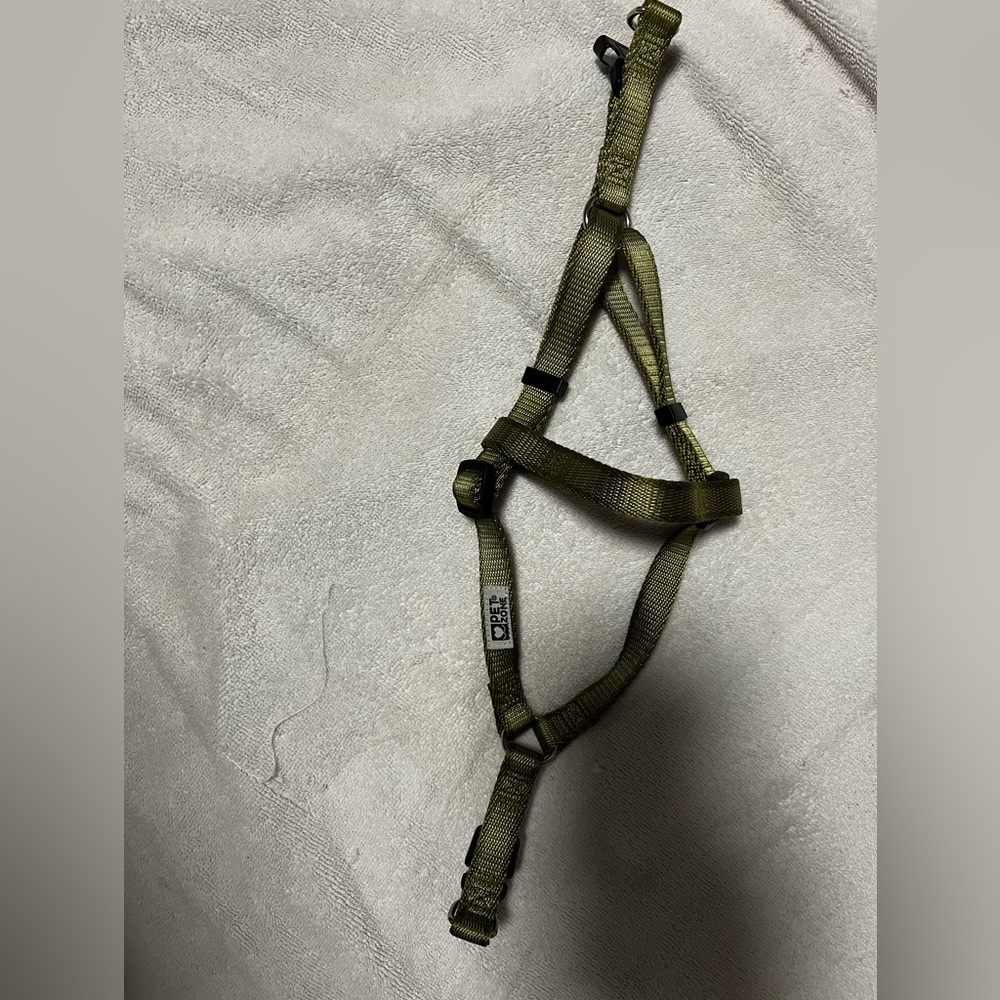 Green harness for small dogs